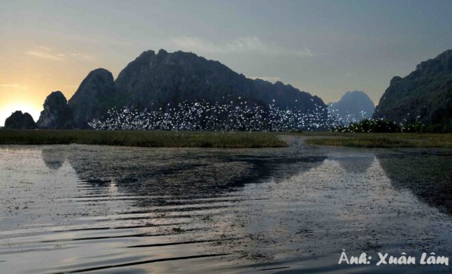 du lịch ninh bình