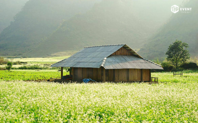 Tour mộc châu 5