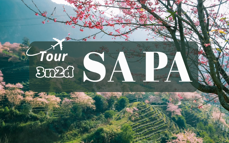 tour sapa 3 ngày 2 đêm