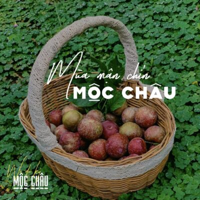 Mùa mận chín