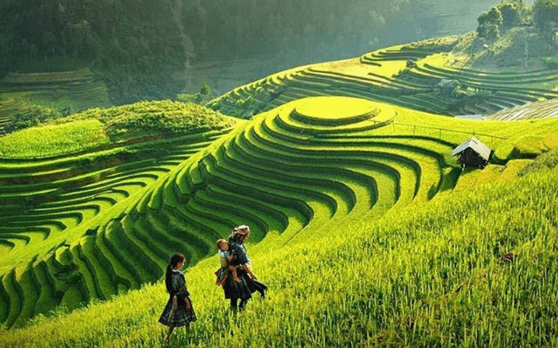 Trekking Sa Pa 2