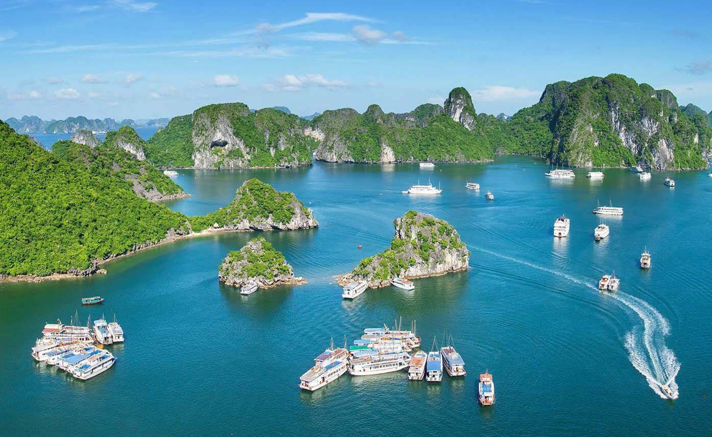 Dao Ngoc Cat Ba