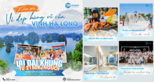 Hạ Long 2n1đ