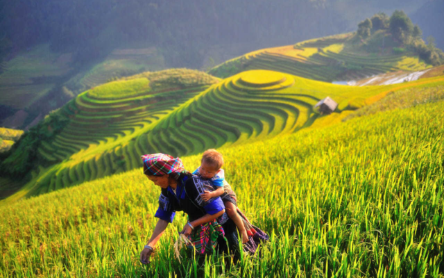 MÙ Cang ChẢi 640x400