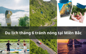 Những 1 1 640x400