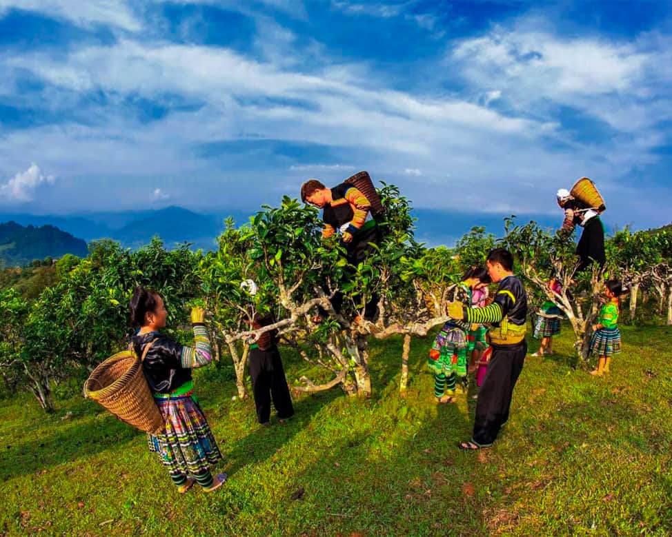 suoi giang yen bai Suoi Giang Yen Bai
