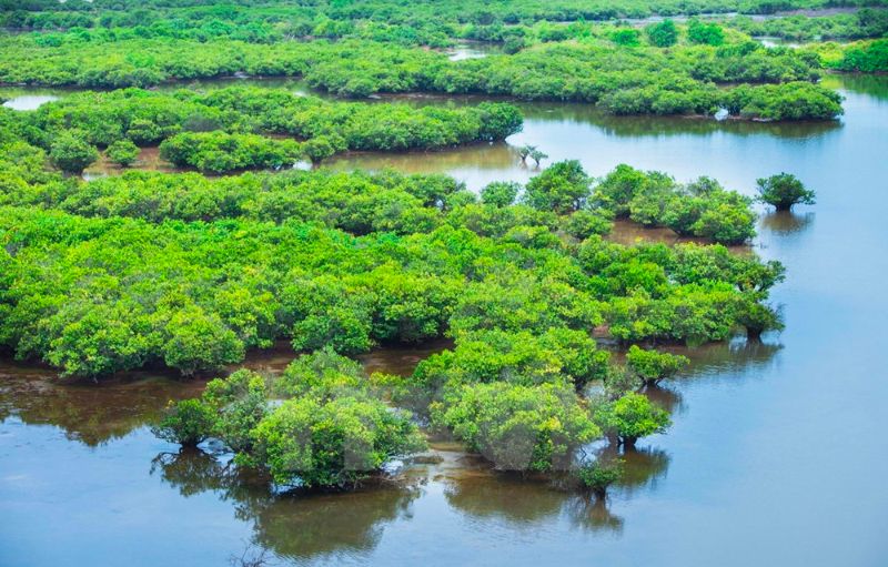 Xr:d:dafyv1dskcq:5,j:2931124656086464753,t:23102608