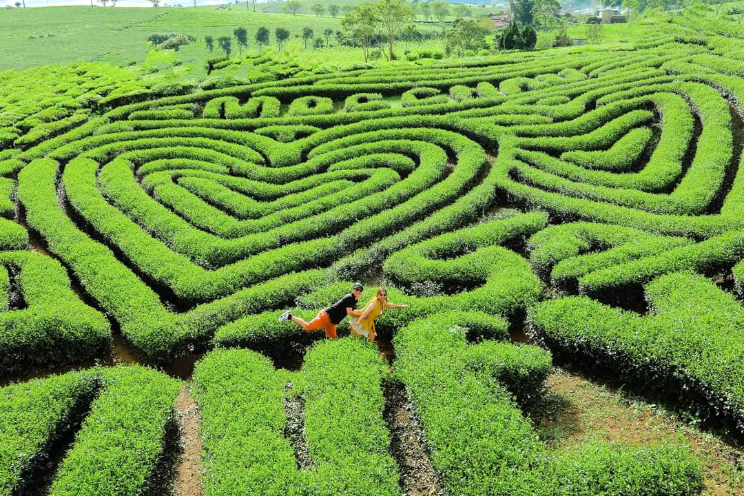 Fb Img 1661773812403 16751561958281410777665